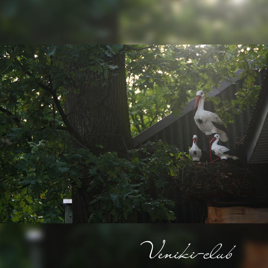 Vorzelʼ Veniki-Club酒店 外观 照片